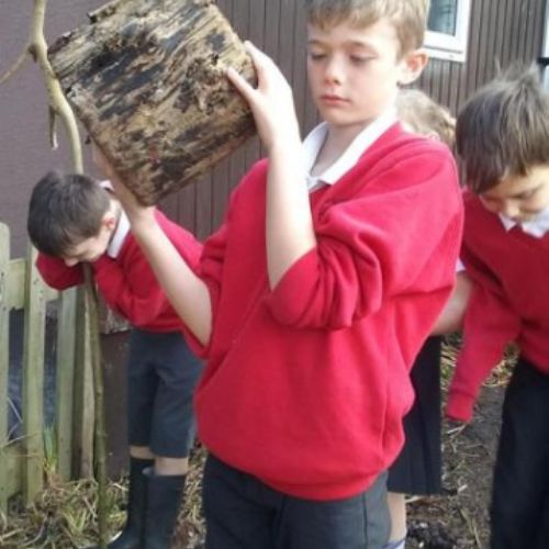 Climbing and exploring. Taking risks and learning in 'The Wilderness'.